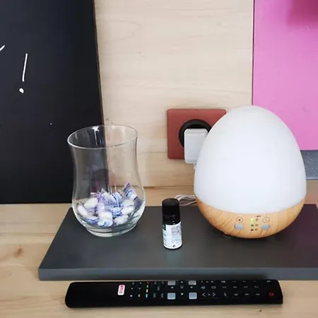 Διαμέρισμα Premium, Proche Faculte & Centre Ideal Digital Nomad Περπινιάν