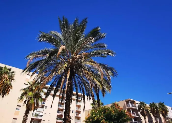 Premium, Proche Faculte & Centre Ideal Digital Nomad Appartement *